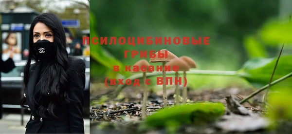 каннабис Приозерск