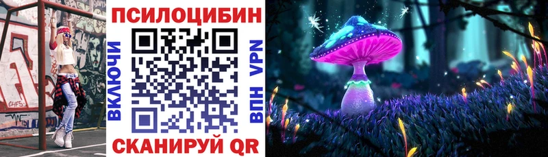 даркнет сайт  Знаменск  сайты даркнета клад  Псилоцибиновые грибы Magic Shrooms 